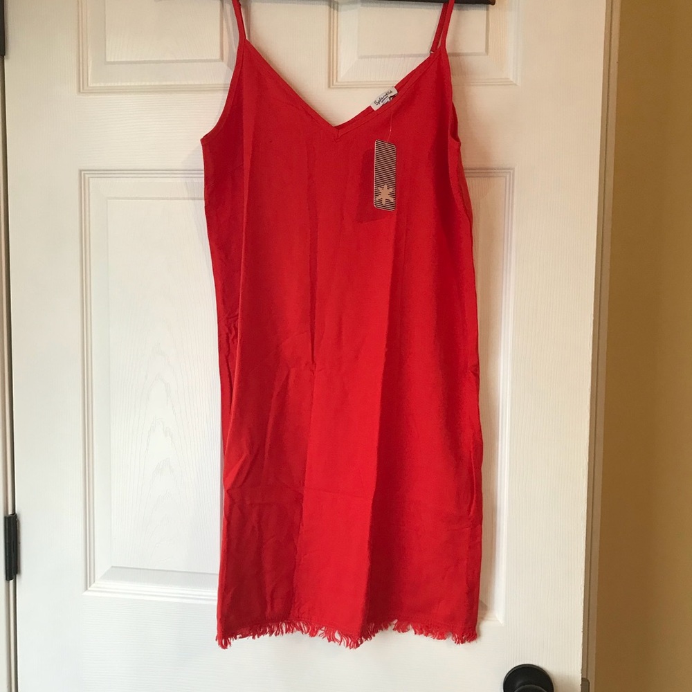 Fringe trim tank dress.