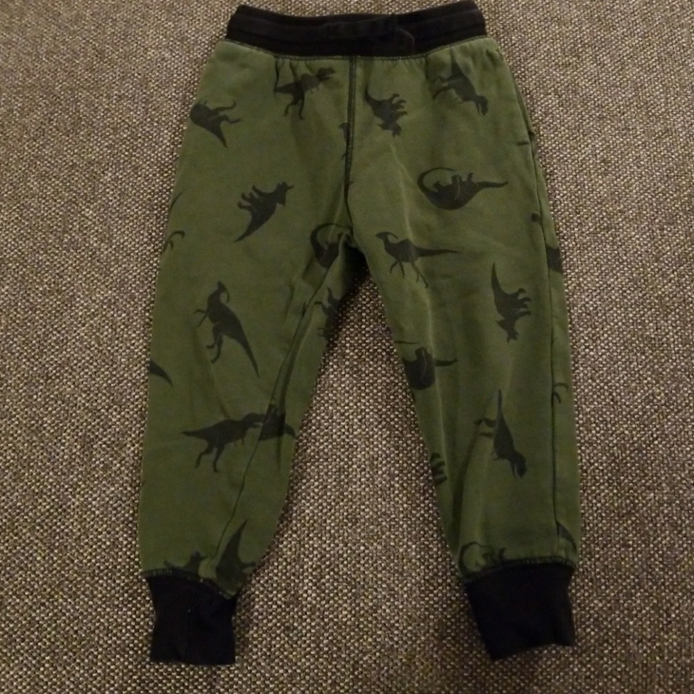 H&M dinosaur pants