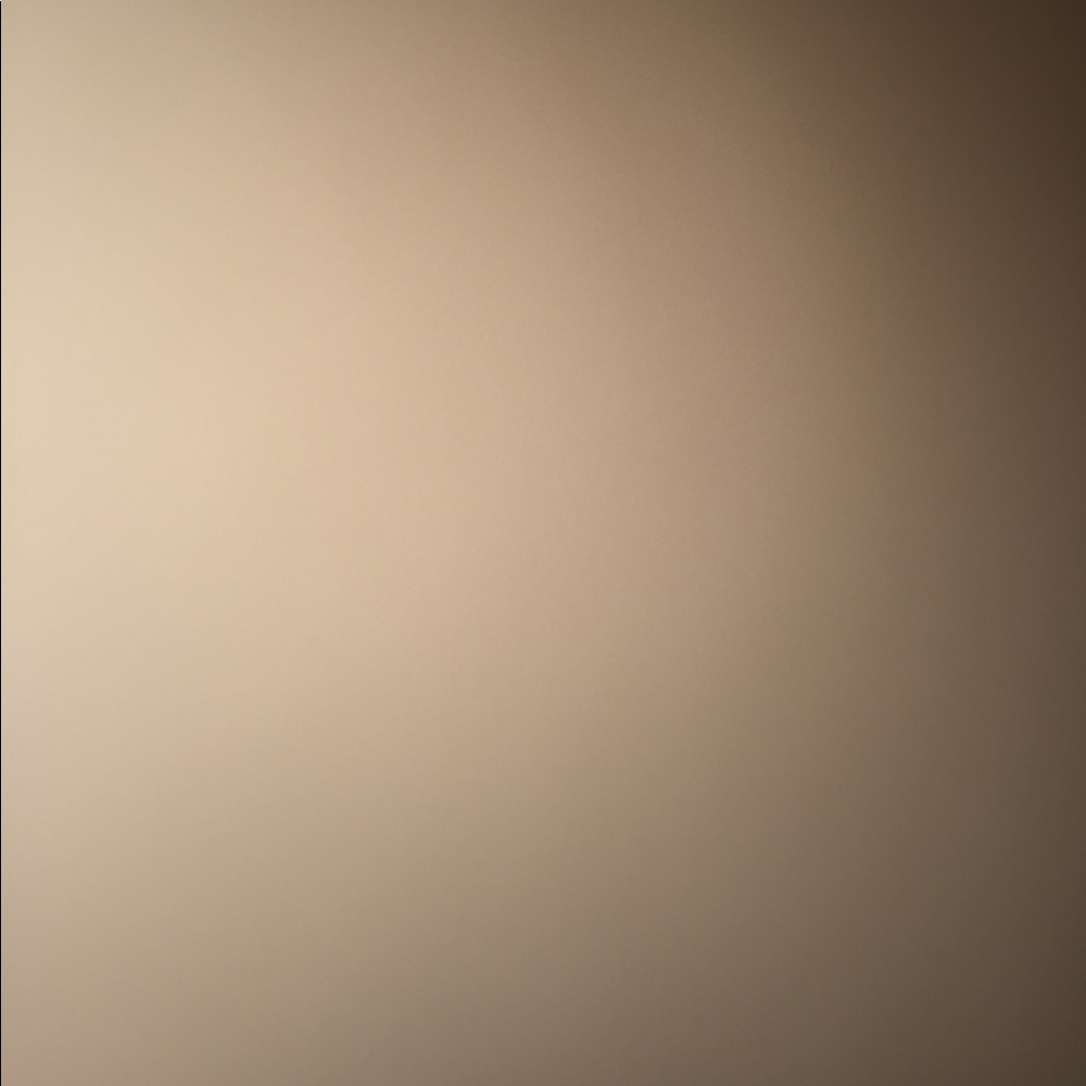 Meet your Posher, Ricky