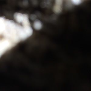 Meet your Posher, Eduardo