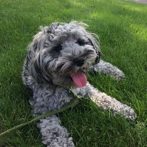 Meet your Posher, Cindy