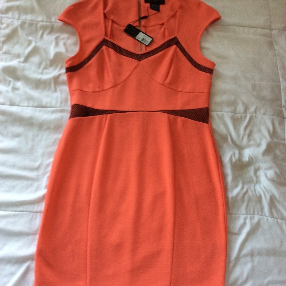 Day to Night Dress
