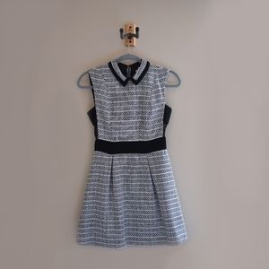 BCBG Tweed Collar Dress