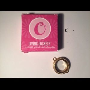 Origami Owl gold link locket with crystals.