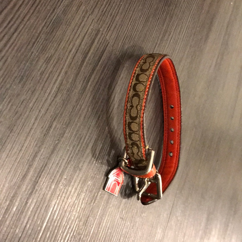 Coach dog collar