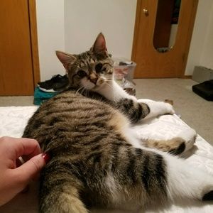 Meet your Posher, Sylvia