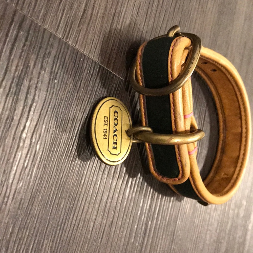 Coach dog collar