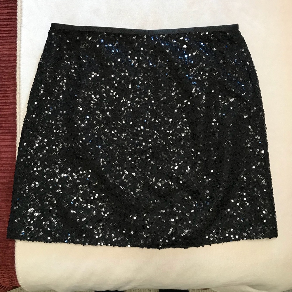 J.Crew Skirt