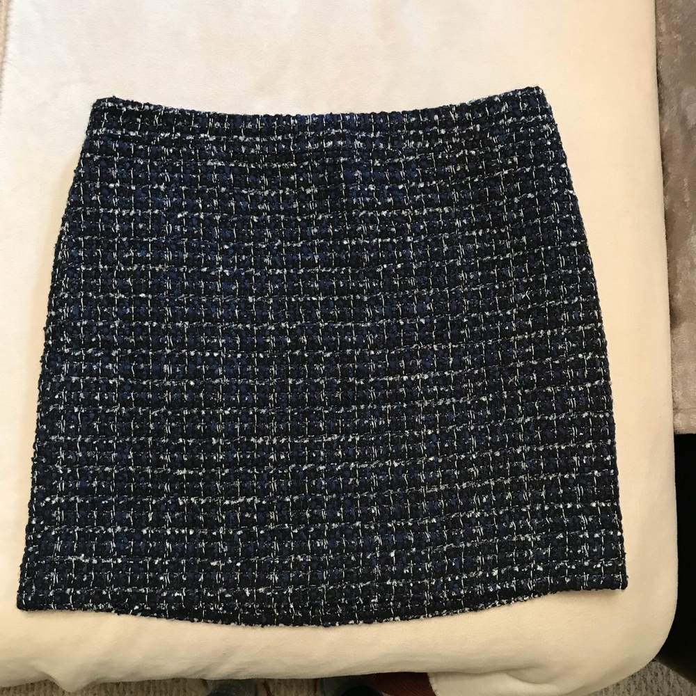 J.Crew Skirt