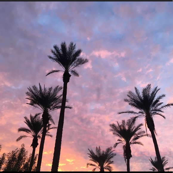 Meet your Posher, Ally - Picture 1 of 1