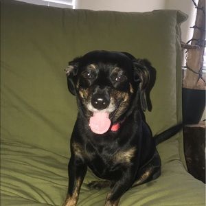 Meet your Posher, Koral