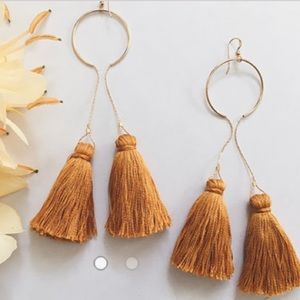 Tassel Fringe Drop Earrings