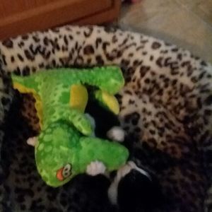 Meet your Posher, Pam