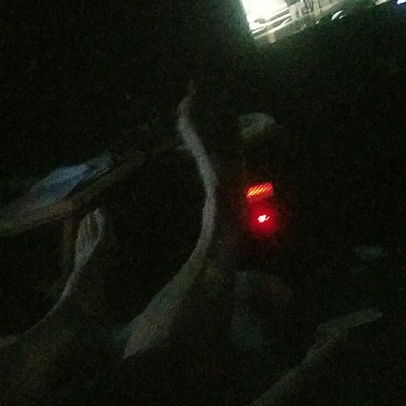 Meet your Posher, Lexie - Picture 1 of 1