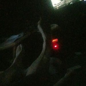 Meet your Posher, Lexie