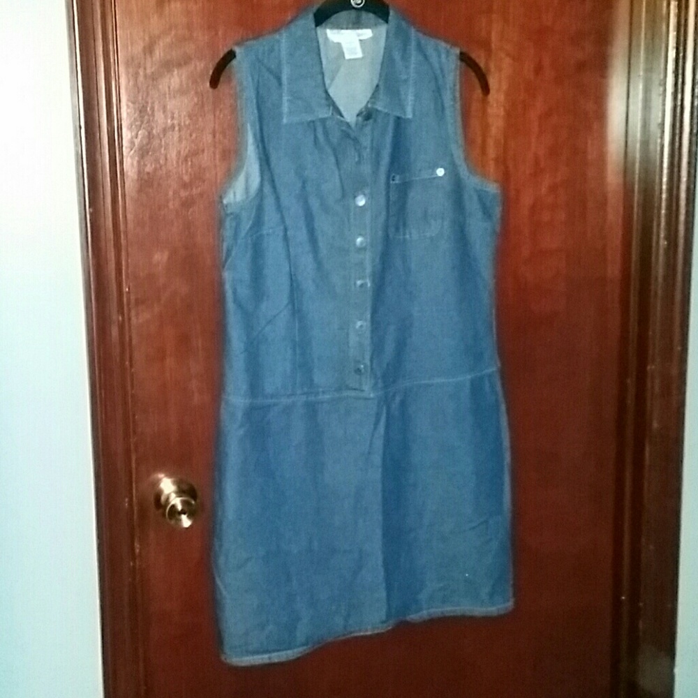 Denim Drop Waist Dress NWOT