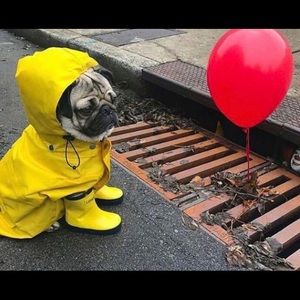 Meet your Posher, Lala