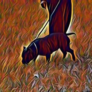 Meet your Posher, Jack