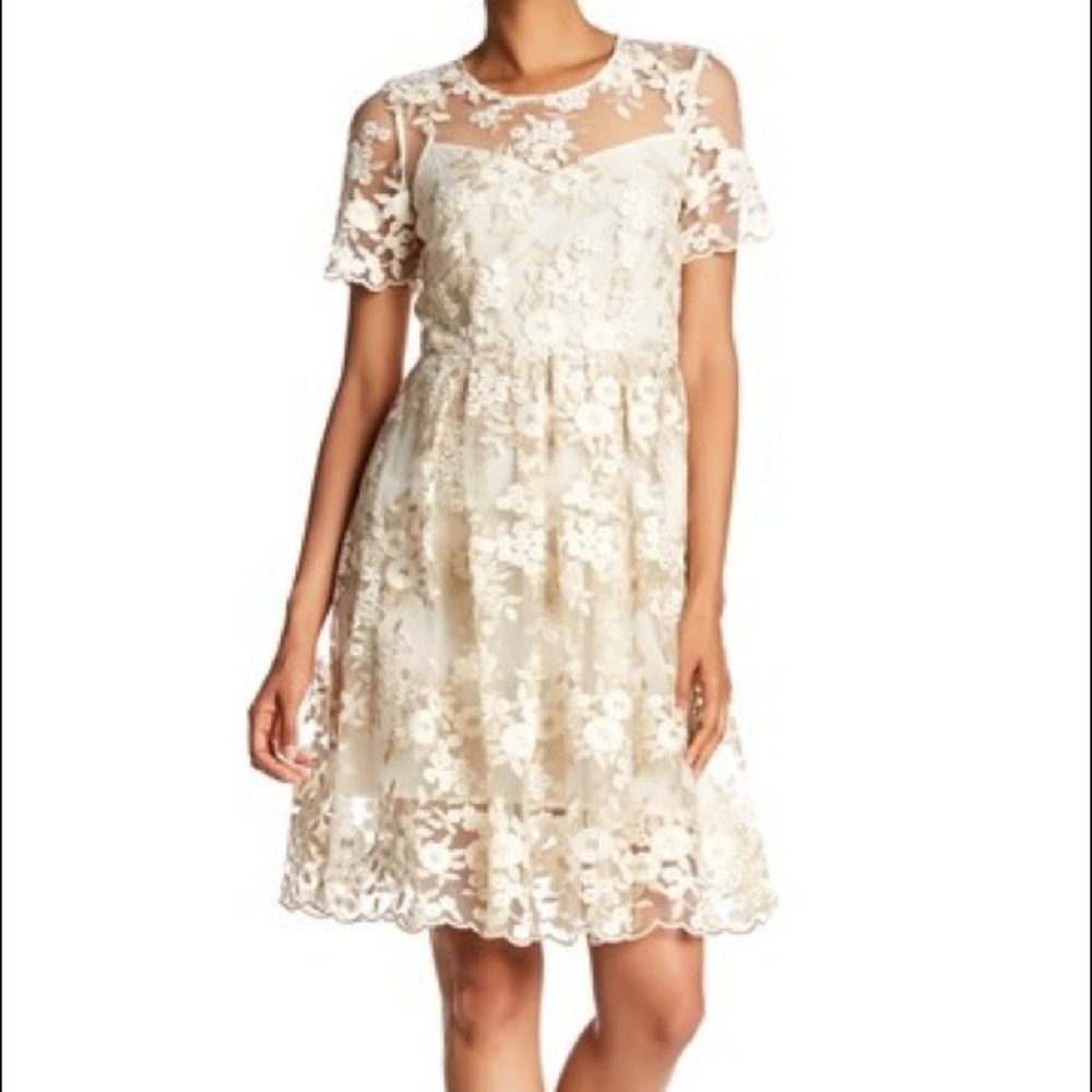 Tahari Antoinette Dress