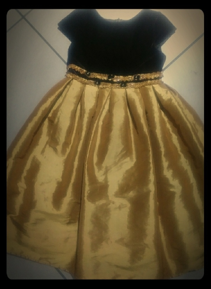 Beautiful gold and brown velvet dress