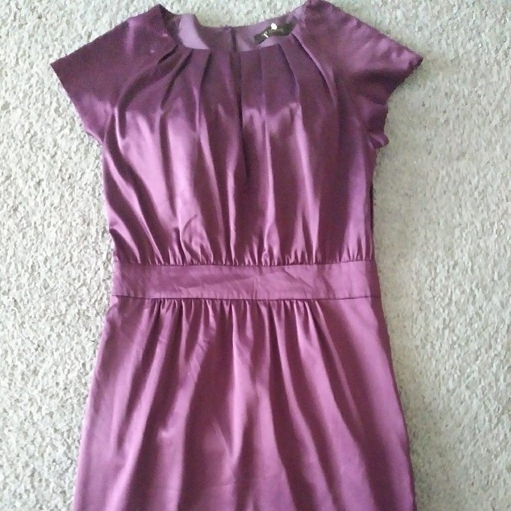The Limited Small Purple dress