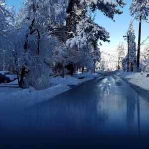 Meet your Posher, Steve