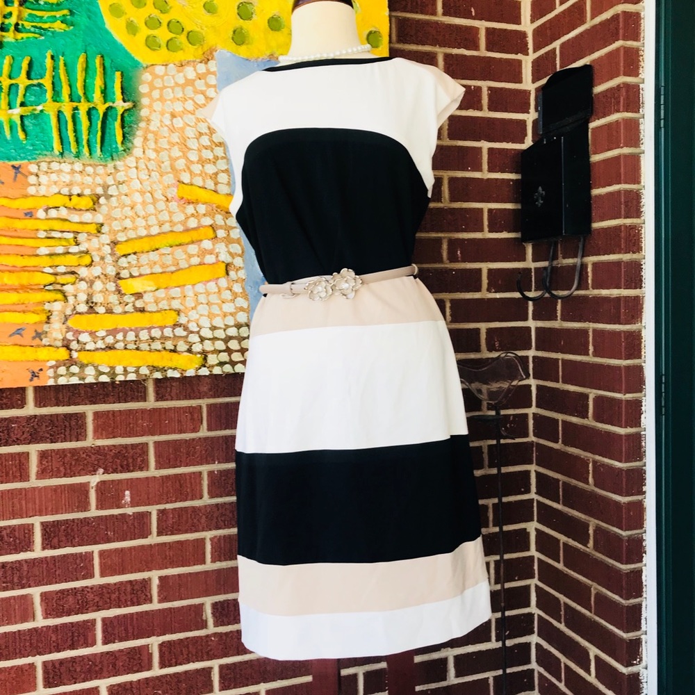 Studio One Colorblock  Dress with Belt