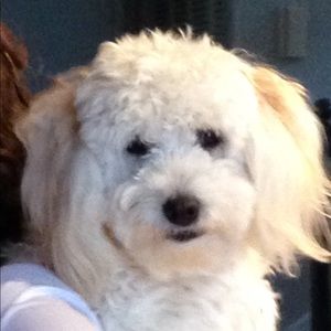 Meet your Posher, Shelly