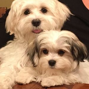 Meet your Posher, Mary