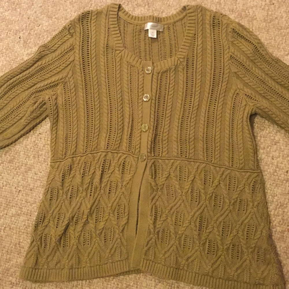 CJ Banks 2x green sweater