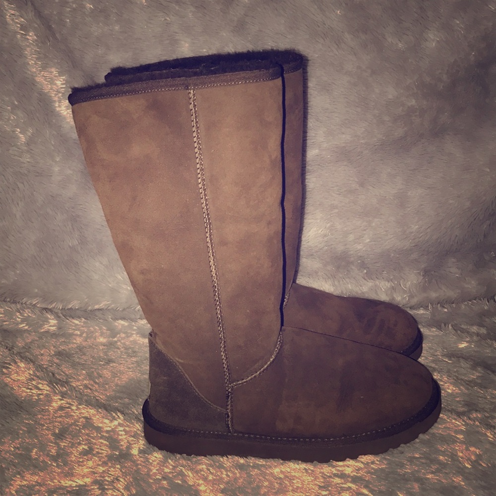 Tall chocolate Uggs