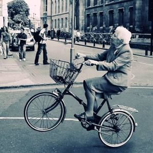 Meet your Posher, Daisy