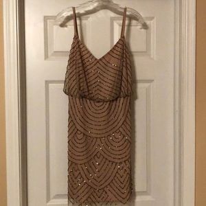 Adrianna Papell Sequin Mesh Dress