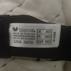 Wacoal Bra