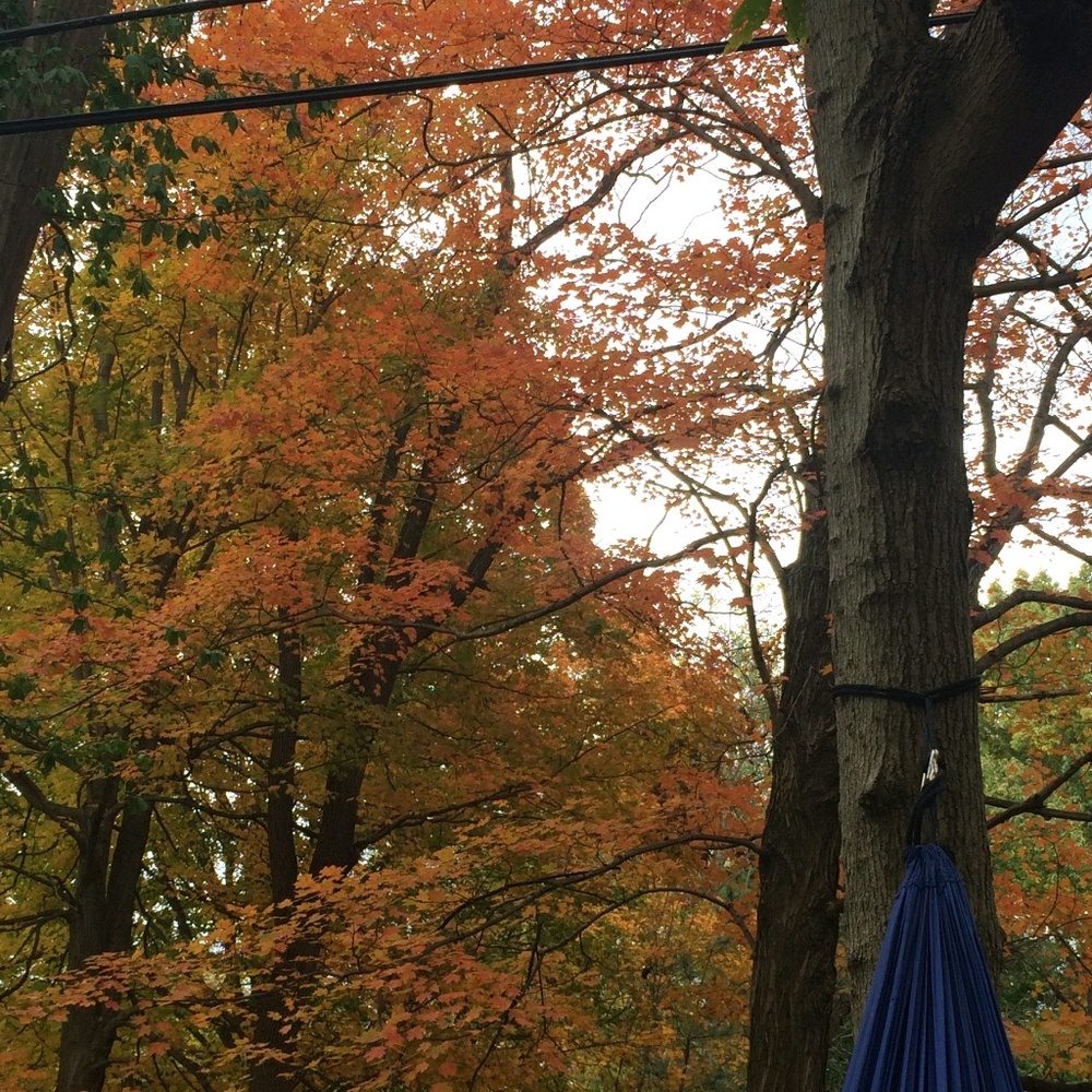 Meet your Posher, Alexi