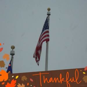 Meet your Posher, Michele