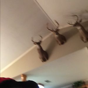 Meet your Posher, Jake