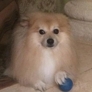 Meet your Posher, Alex