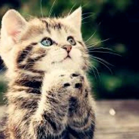 Meet your Posher, Sheryl - Picture 1 of 1