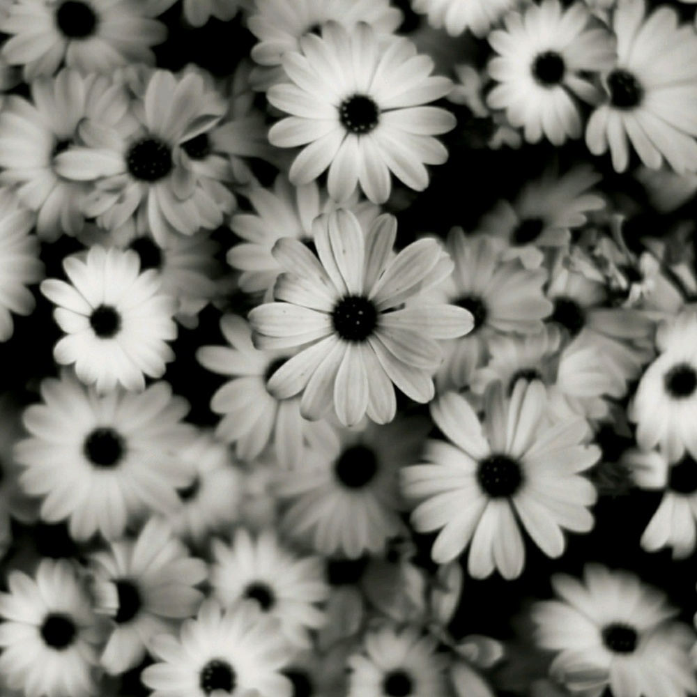 Meet your Posher, Christi