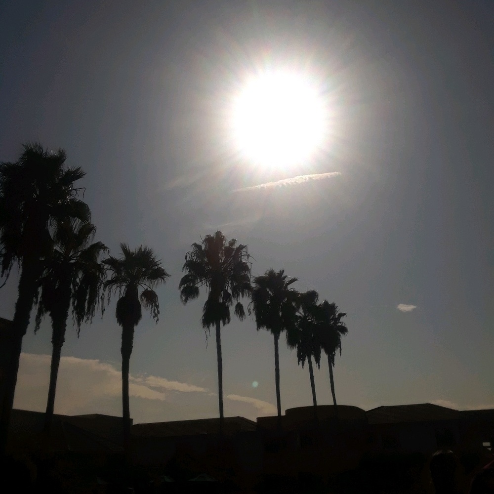 Meet your Posher, Cynthia