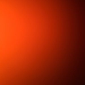 Meet your Posher, Ellie