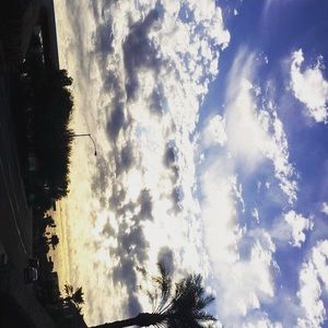 Meet your Posher, Ariel