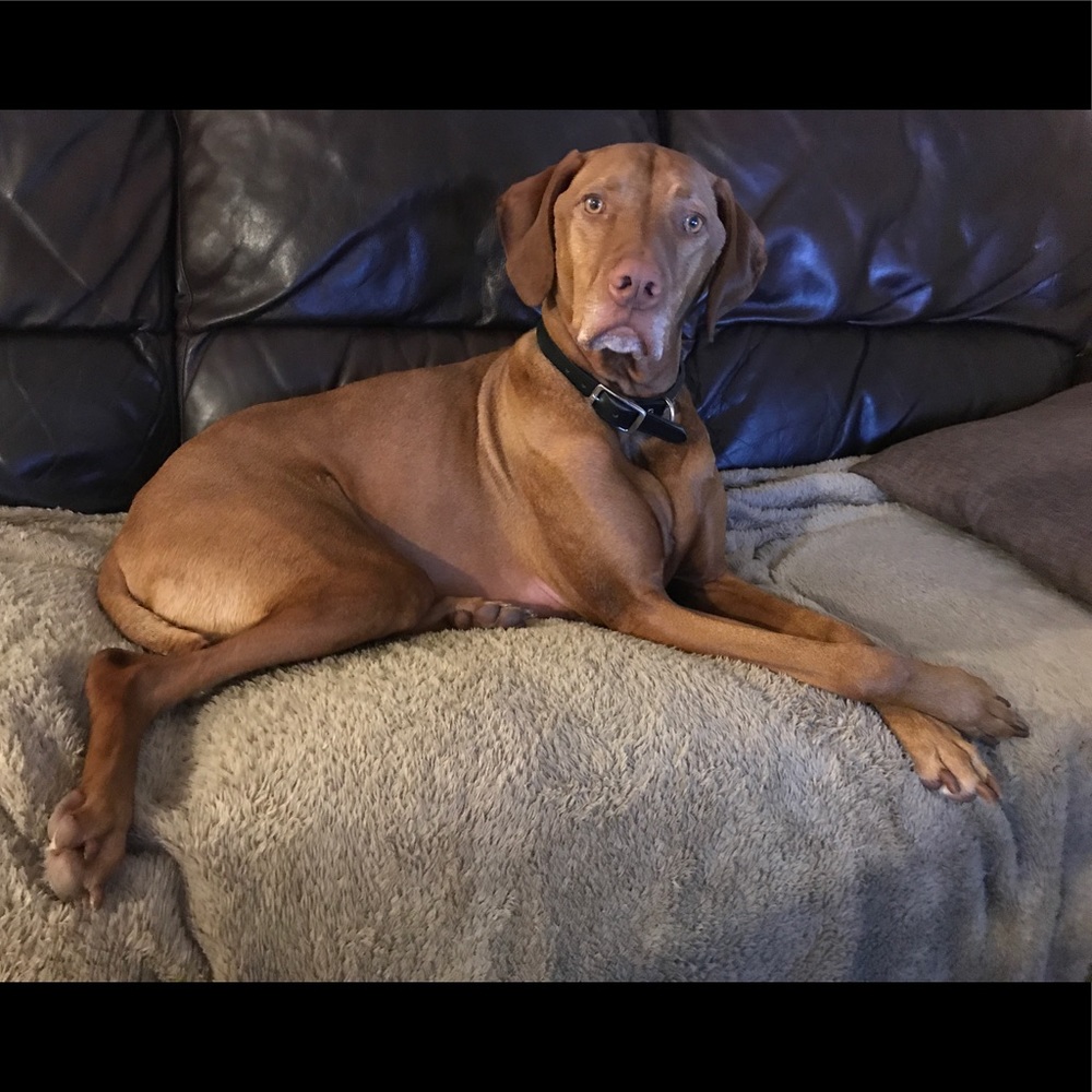 Meet your Posher, Timea