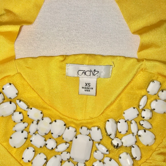 Cache Ruched Lined Halter Top - Picture 3 of 3