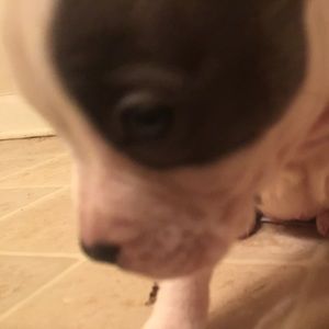 Meet your Posher, Kenneth