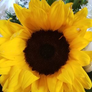 Meet your Posher, Joanne