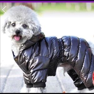 To Stay warm during the Winter