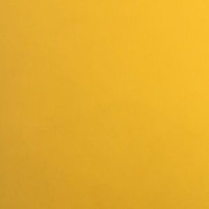 Meet your Posher, Carlos