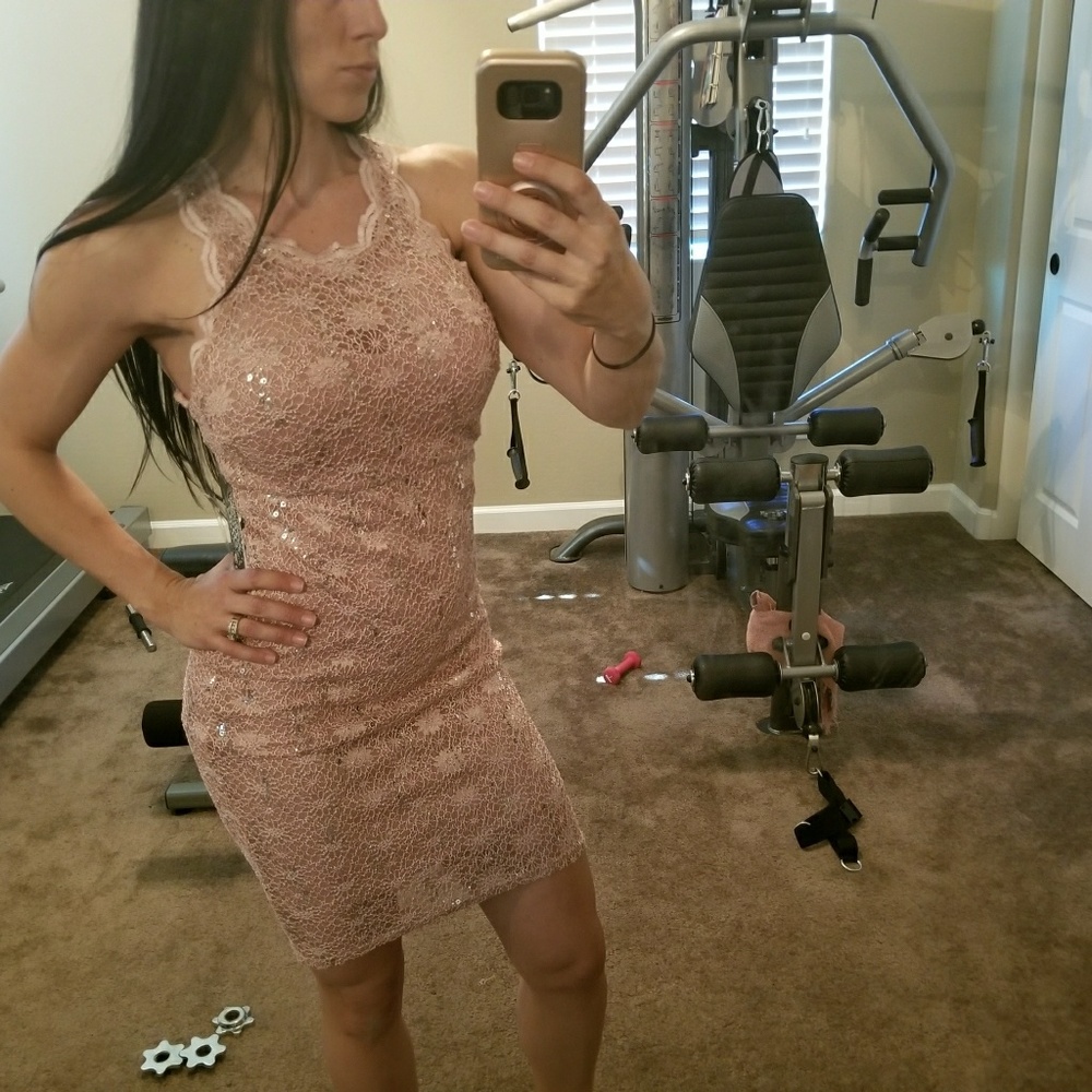 NWT Blush Pink Lace Fitted Knee Length Dress